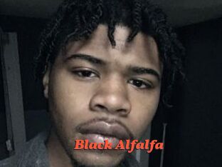 Black_Alfalfa