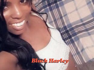 Black_Harley
