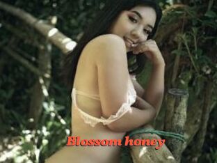 Blossom_honey