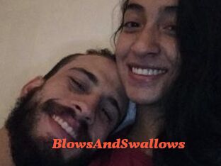 BlowsAndSwallows