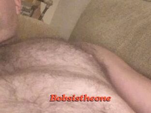 Bobsistheone