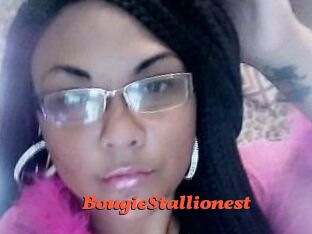 BougieStallionest