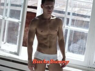 BucksBunny