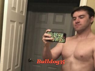 Bulldog35