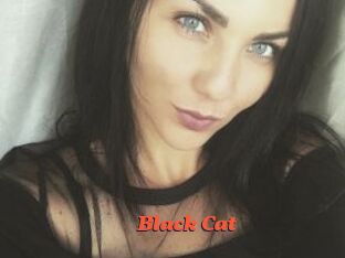 _Black_Cat