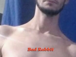 Bad_Rabbit