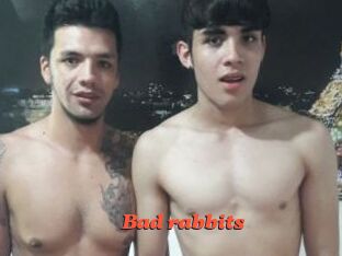 Bad_rabbits