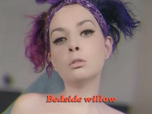 Bedside_willow