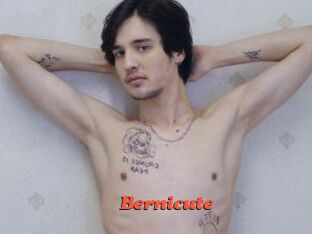 Bernicute