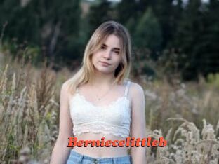 Berniecelittleb