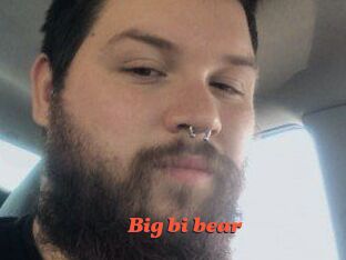 Big_bi_bear