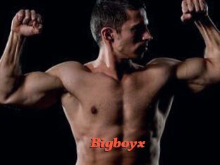 Bigboyx