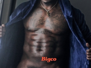 bigco Livespot