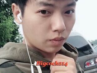Bigcock214