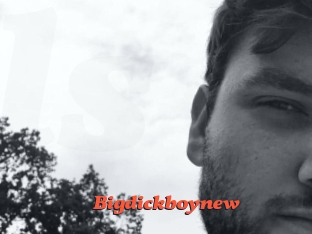 Bigdickboynew