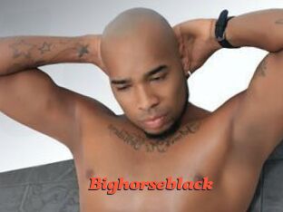 bighorseblack Livespot