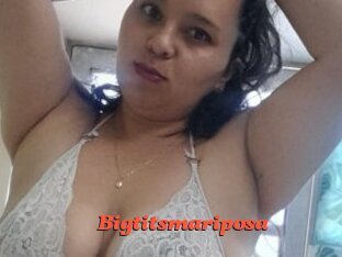 Bigtitsmariposa