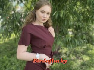 Birdoflucky