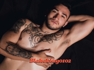 Blakeking0102