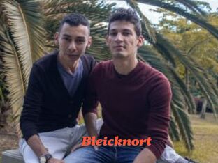 Bleicknort