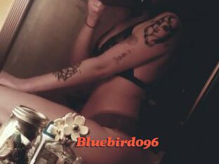 Bluebird096