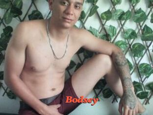 Bodsey