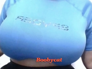 Boobycat