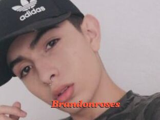 Brandonroses