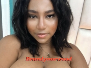 brandynorwood Livespot
