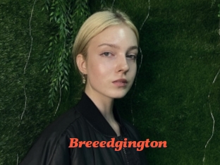 breeedgington Livespot