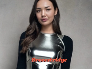 Breeestridge