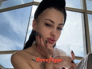Breefigge