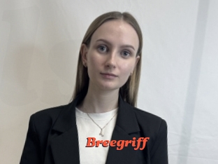 Breegriff