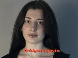 Bridgetangwin