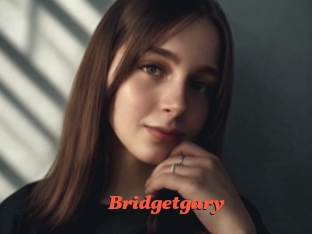 Bridgetgary