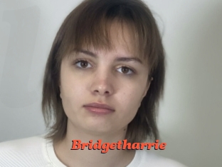 Bridgetharrie