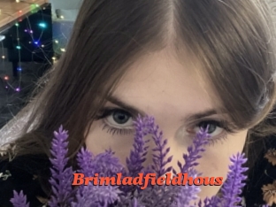 brimladfieldhous Livespot