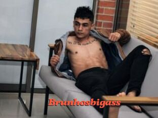 Brunhosbigass