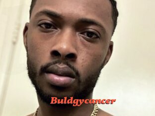 Buldgycancer