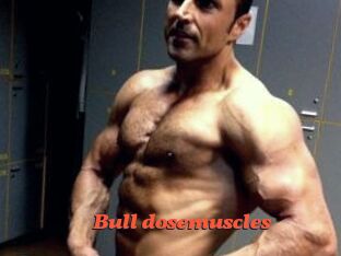 Bull_dosemuscles