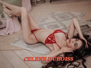 CELENE_DUBOISS