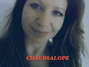 CHAUDSALOPE