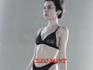 CLEO_MINT
