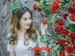 Calanthas