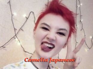 Camelia_Japanese Livespot