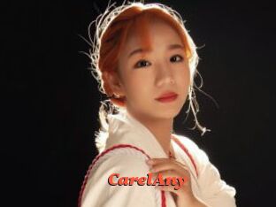 CarelAny Livespot