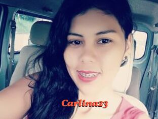 Carlina23