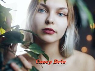 Casey_Brie Livespot