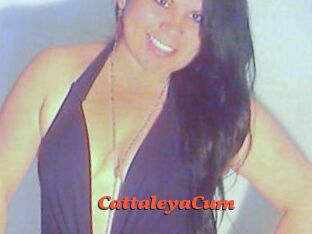 CattaleyaCum