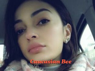Caucasian_Bee